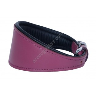  Ace Traditional Leather Dog Collar lined with super SOFT leather 5 Colors